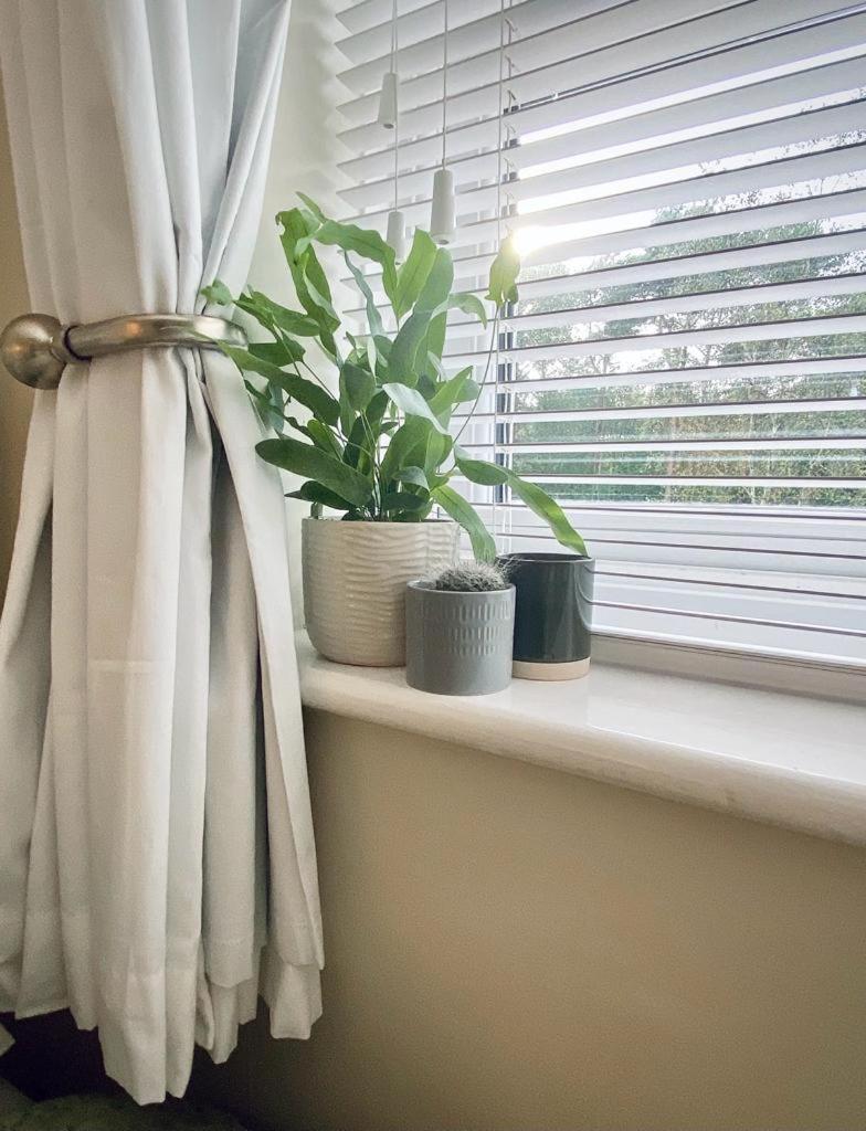 Durham City Retreat エクステリア 写真